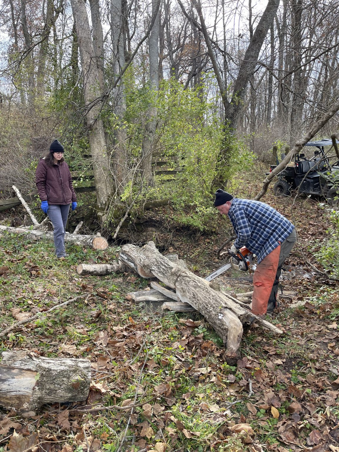 Support Volunteer Cardinal Land Conservancy
