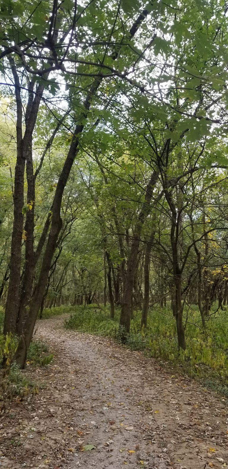Bortz Family Nature Preserve – Cardinal Land Conservancy