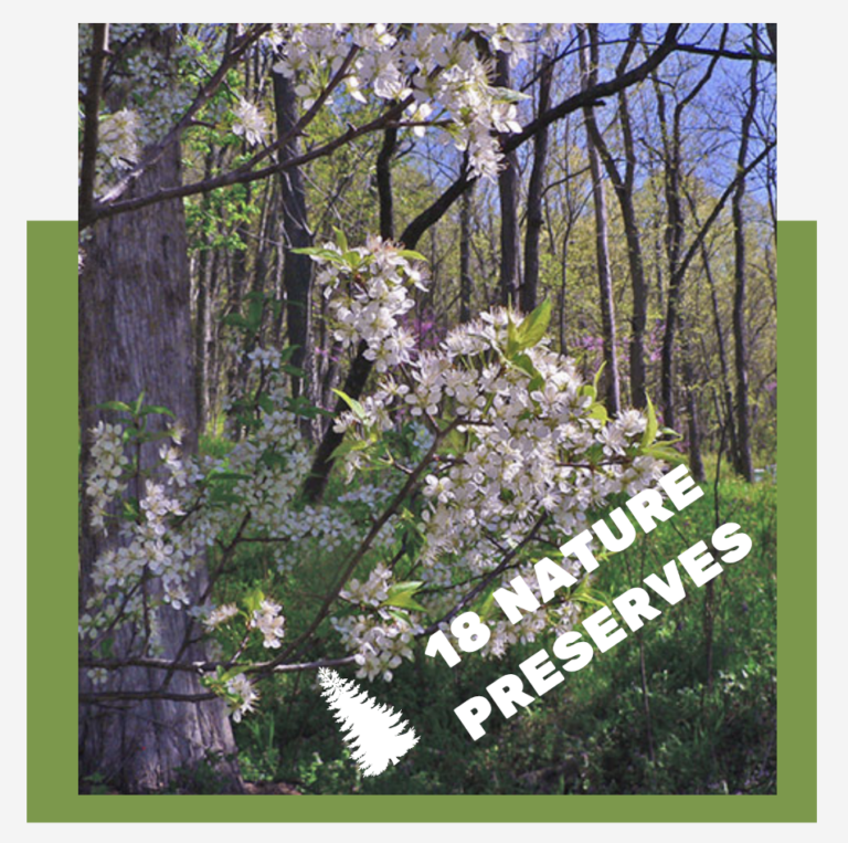 Photograph of trees captioned "18 Nature Preserves"